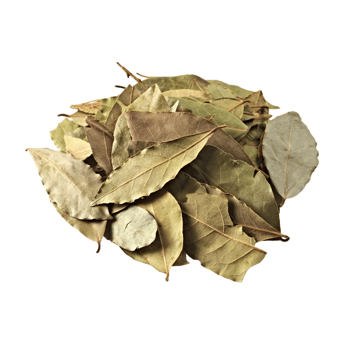 bay leaf / laurel leaf image