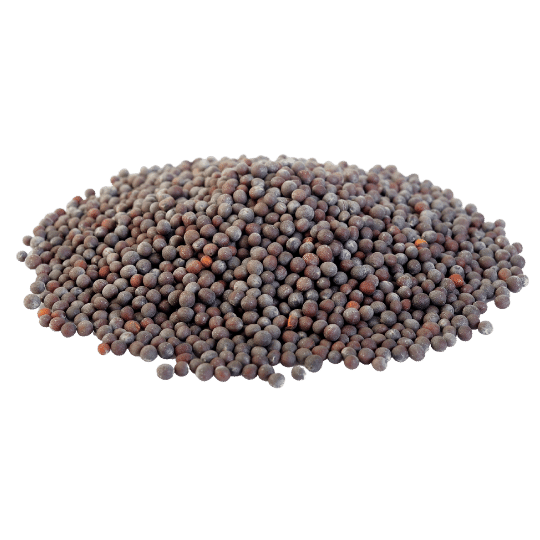 brown mustard seeds in a pile