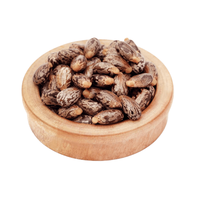 castor seeds in a bowl