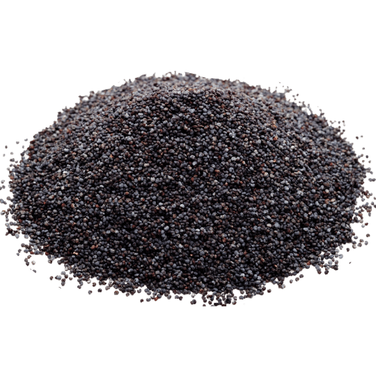 poppy seeds in a pile