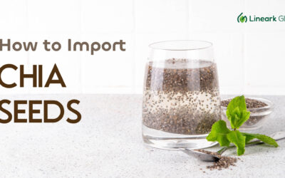 How to Source Chia Seeds from India: Supplier Selection Guide for Superfood Brands