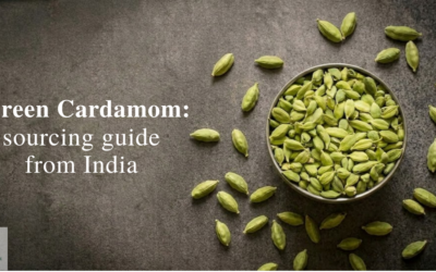 Green Cardamom from India: A Buyer’s guide to grades, quality and sourcing