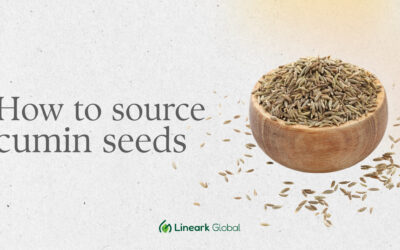 Cumin Seeds sourcing from India: A complete guide