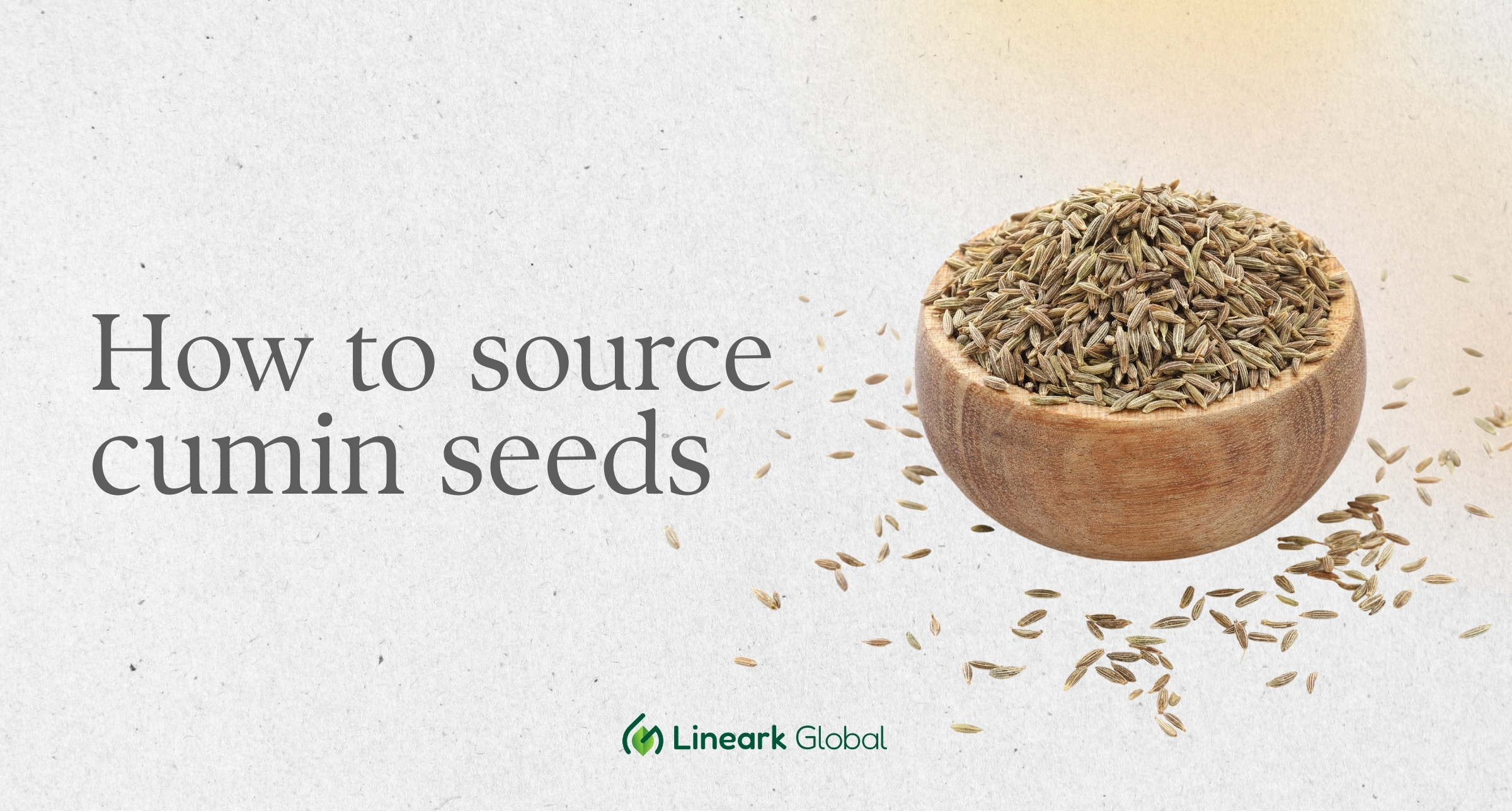 How to Source Bulk Cumin Seeds IPM Quality for Europe: The 2026 B2B Procurement Guide