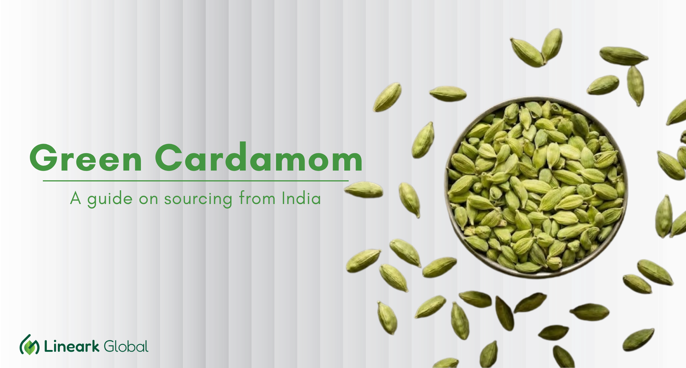 Green cardamom pods in a bowl - bulk sourcing guide from India by Lineark Global